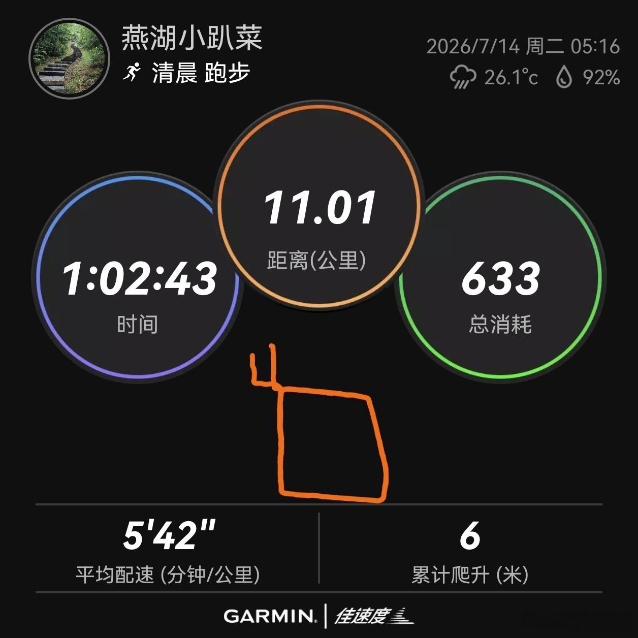 跑步 运动打卡Day378早安 