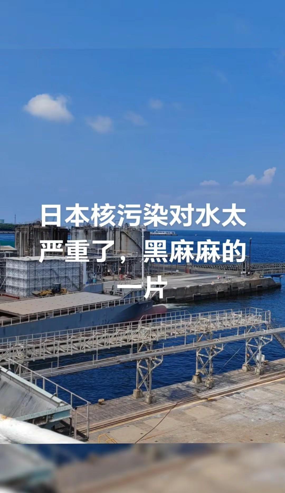 东京湾码头核污染现状。🌊日本东京湾码头的核污染问题让人揪心。海水呈现出一种不正