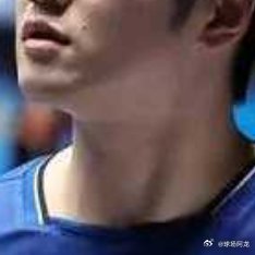 德国乒乓球甲级联赛10日官方宣布，中国名将樊振东当选2025-2026赛季德国乒
