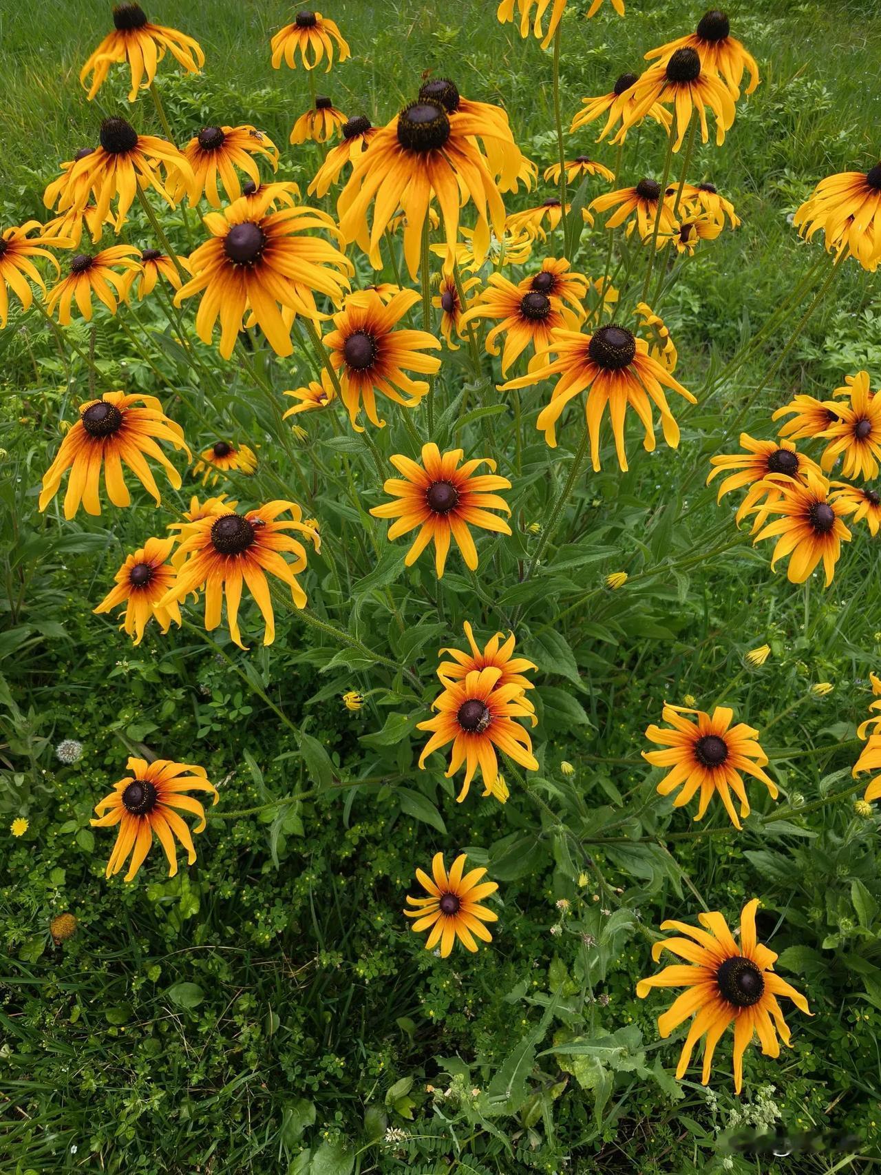 没啥影响，本来如此！