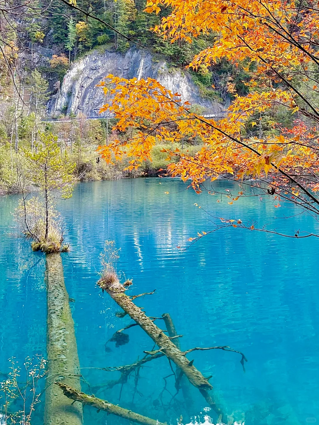 豪赌成功！听说上周大家都在九寨🏔️