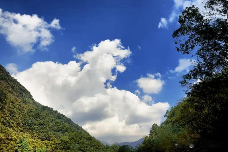 人生注定是个零
🚣‍♀️🥳风花雪月亿往昔
🌞🧚‍♂️遗憾永远常相伴、
?