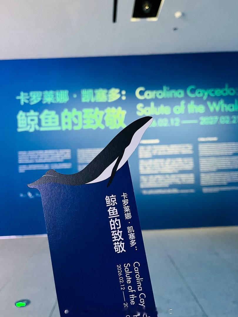 喜欢看鱼 