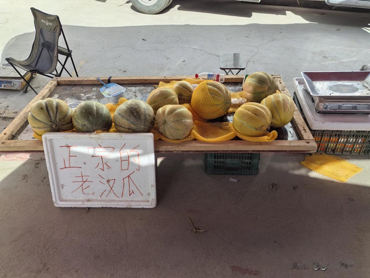 Aid Xinjiang Diary（54）2026.7.18.
周六，天气晴，