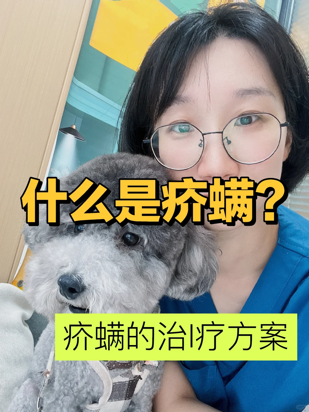 狗狗疥螨感染以及用💊方案！