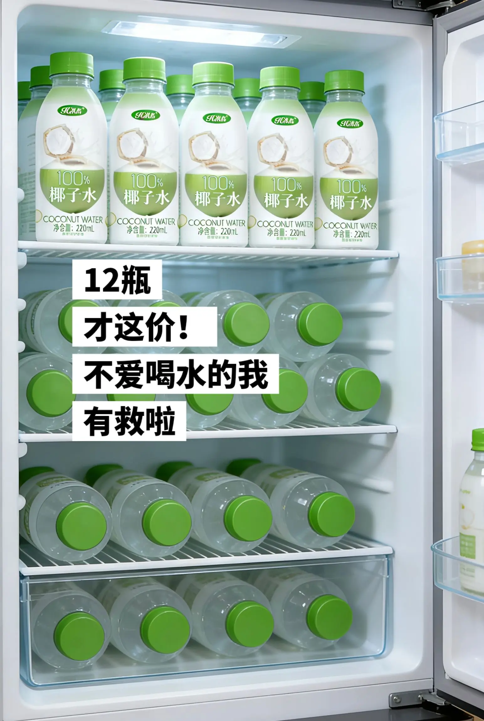 12瓶椰子水才这价，快薅。