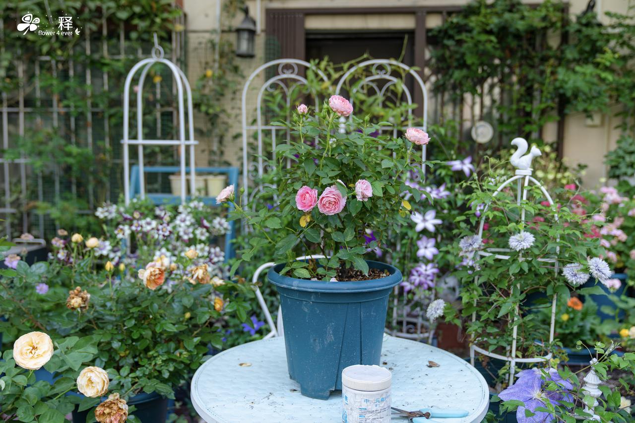 油价继续暴涨，我们这代人没经历过的能源危机已经到来
截止发稿，纽约原油暴涨9个点