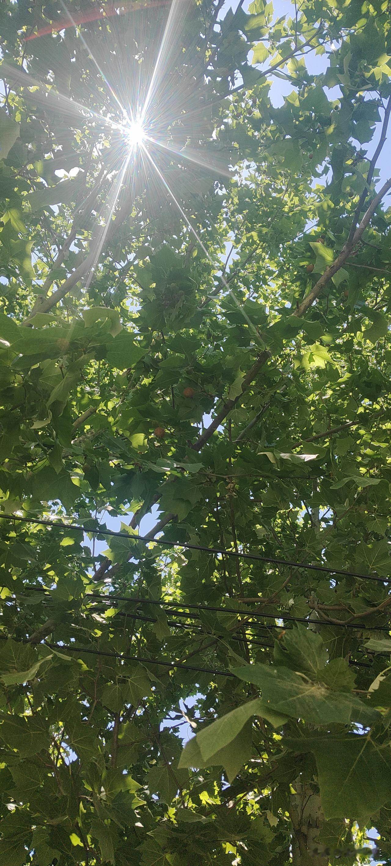 真有活够的人
今天来我爸妈家吃饭，老爸问我还记得，我们后邻居你耿奶奶吗？
我说：