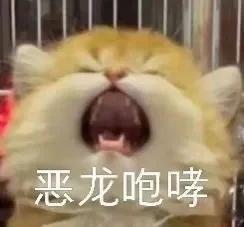 算咯算咯，忙盘内去咯。想要吃更多的肉，后台申请加入大家庭即可。兄弟们泪崩不，摸顶
