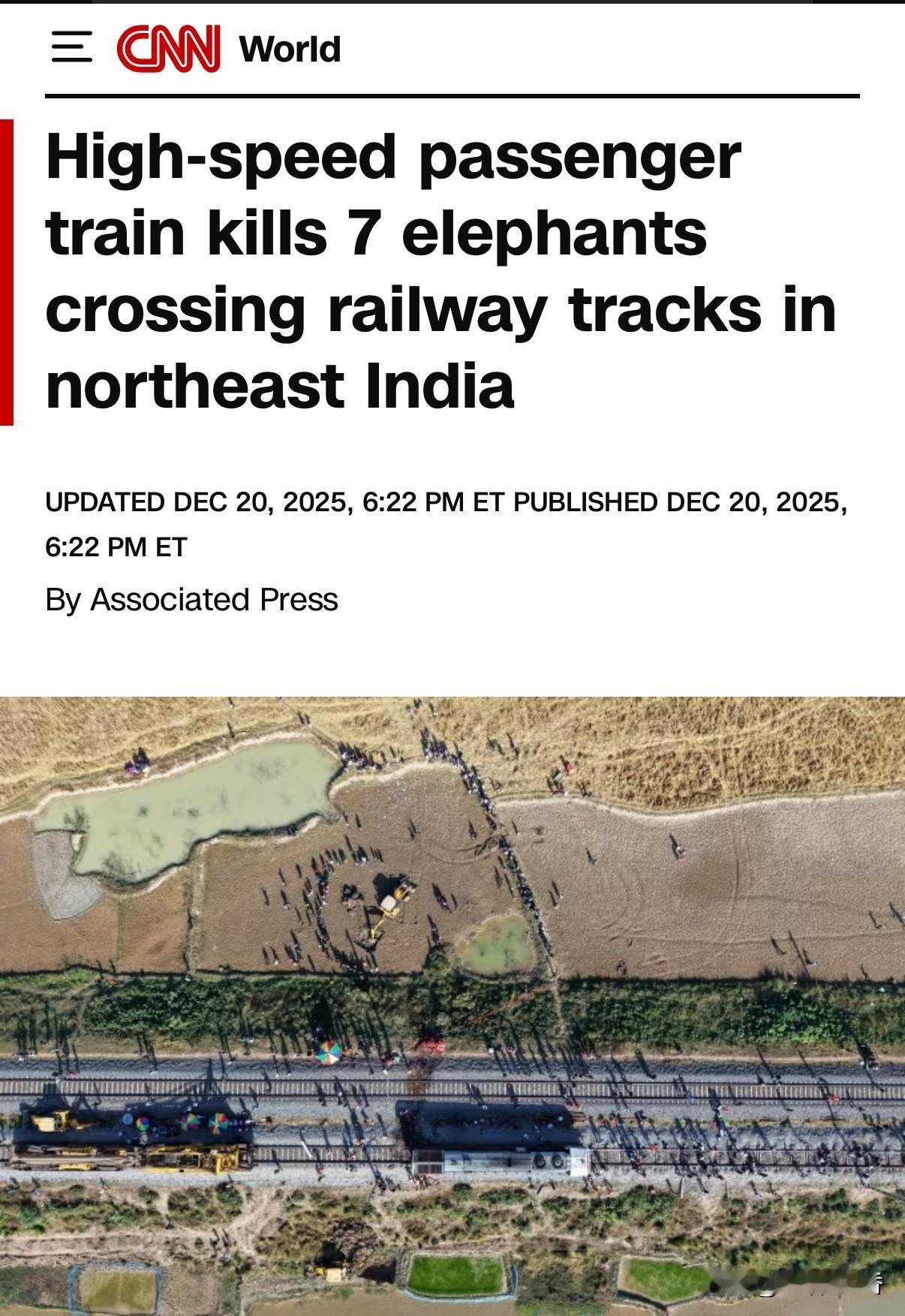 周六清晨，一辆高速客运列车在印度东北部阿萨姆邦撞上了正在穿越铁路的亚洲象群，导致