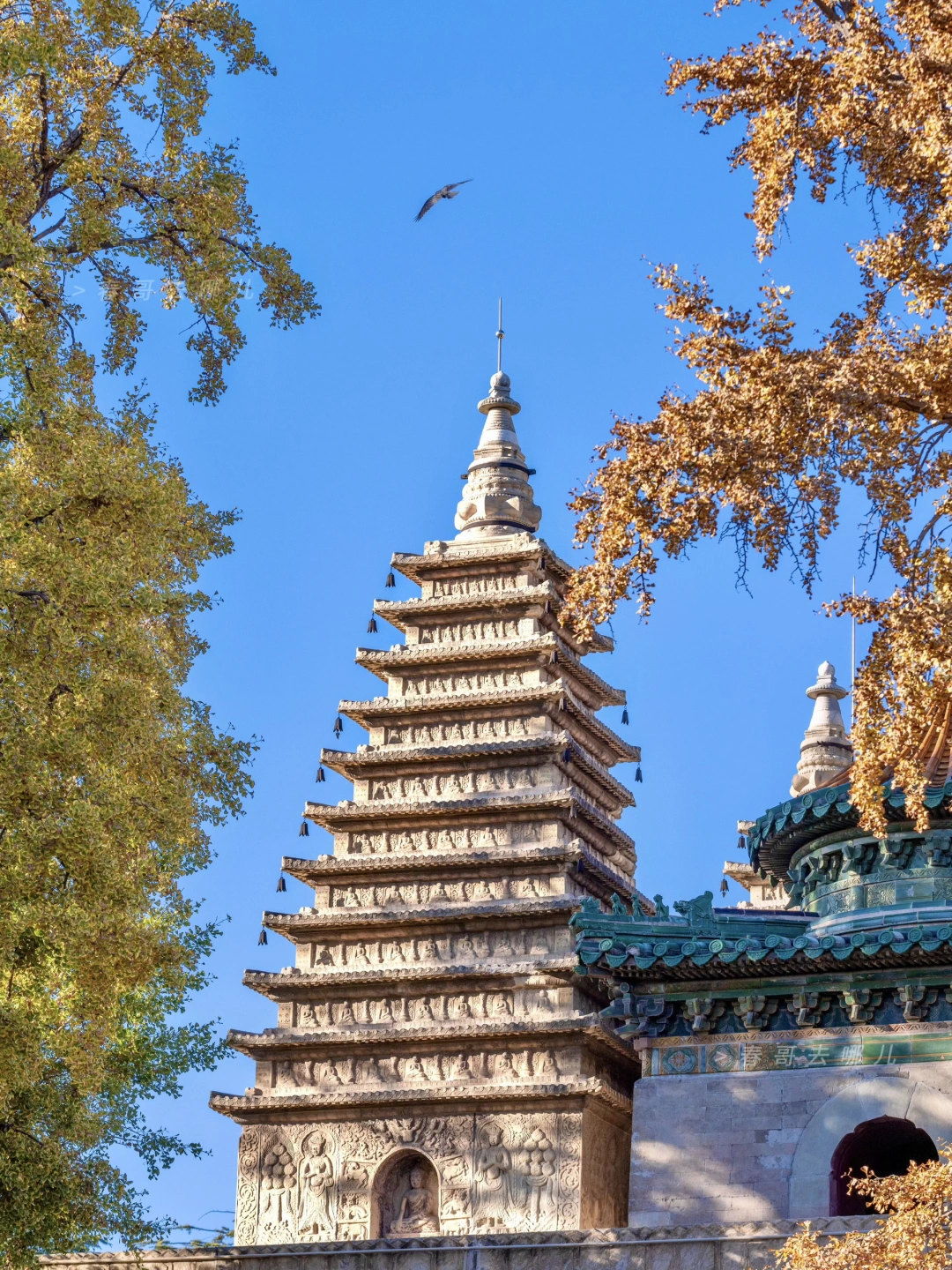 10.26北京秋季必打卡之五塔寺，已加载90%