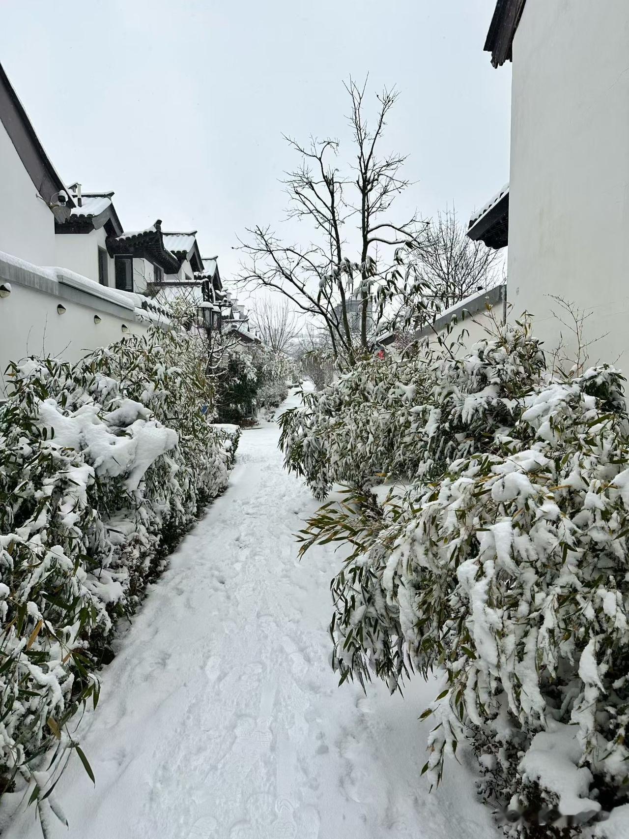 闺蜜儿子小李28岁，业务能力强，性格直爽，在一家公司做项目。几个月前，他所在的部