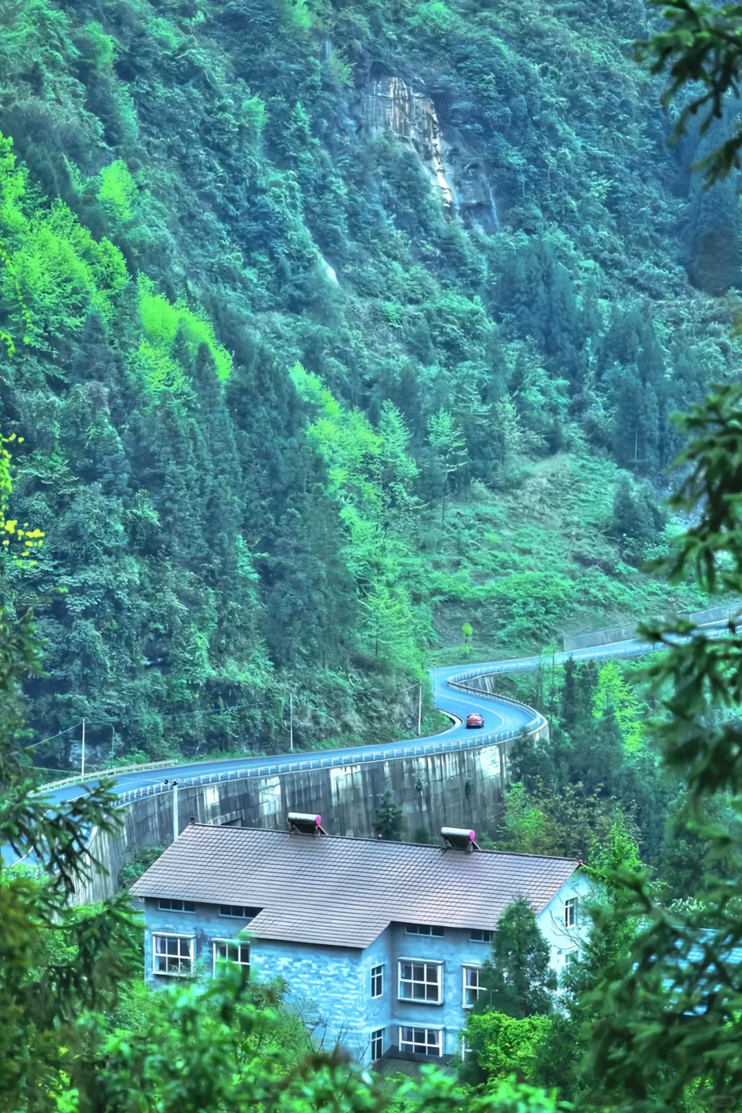 风景不输川西！主城1小时到，重庆避暑秘境