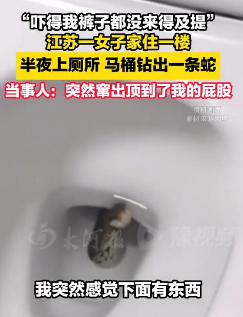 “担心的事还是发生了！”江苏一女子半夜被尿意憋醒摸黑上厕所，刚蹲稳就觉下面有东西