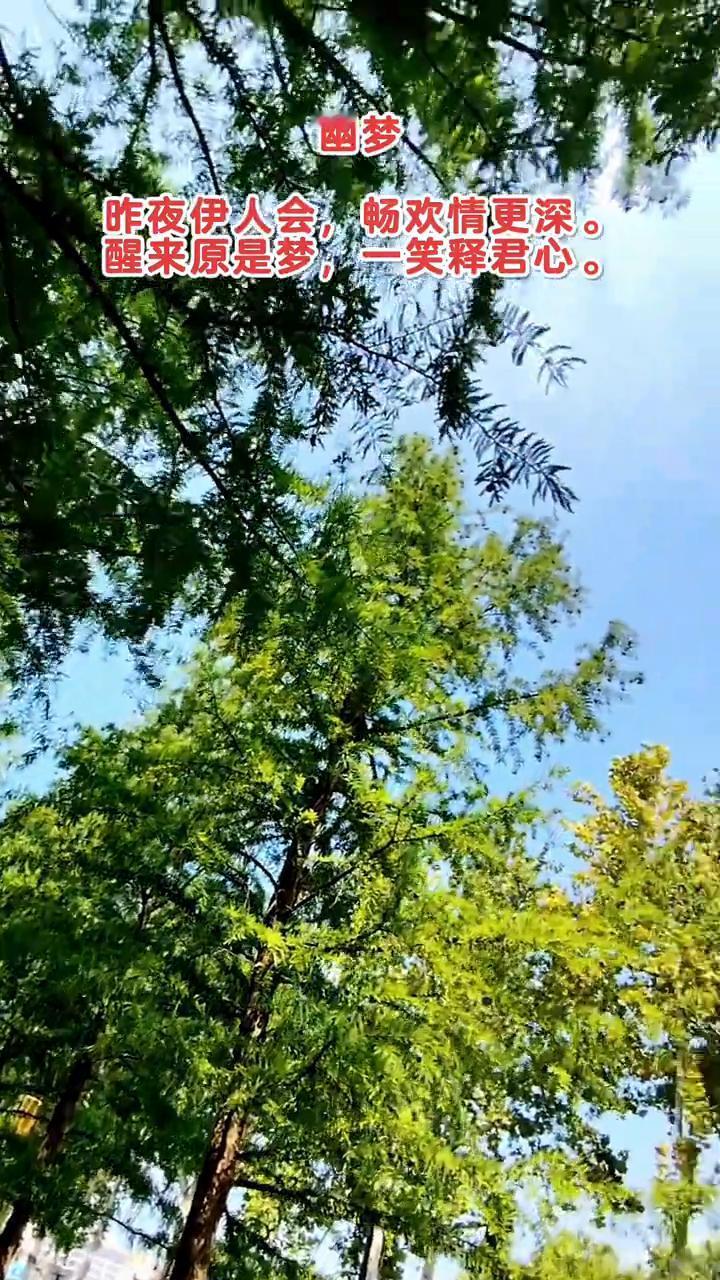 幽梦。
昨夜伊人会，畅欢情更深。
醒来原是梦，一笑释君心。