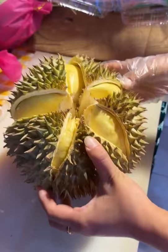 世界上最完美的榴莲出现了每一瓣果肉都厚实金黄，软糯丝滑甜度刚好，难得一见的好果，