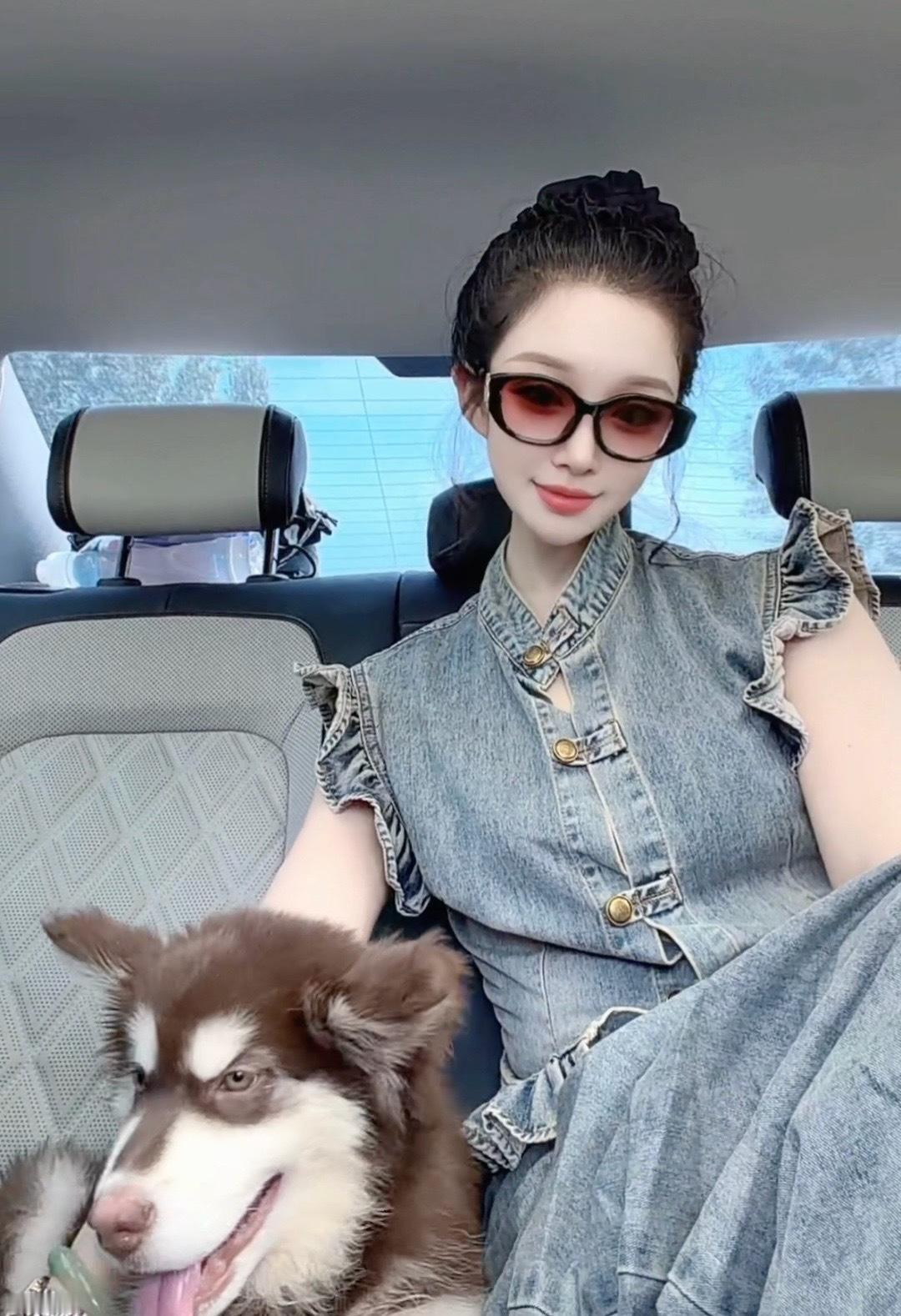 世界破破烂烂 小狗可可爱爱🐶 平顶山