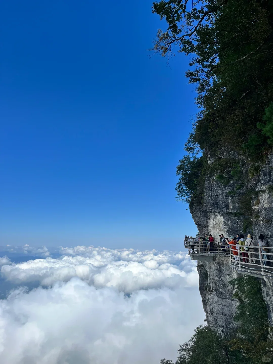 秘境龙头山||解锁云端仙境的绝美瞬间✨