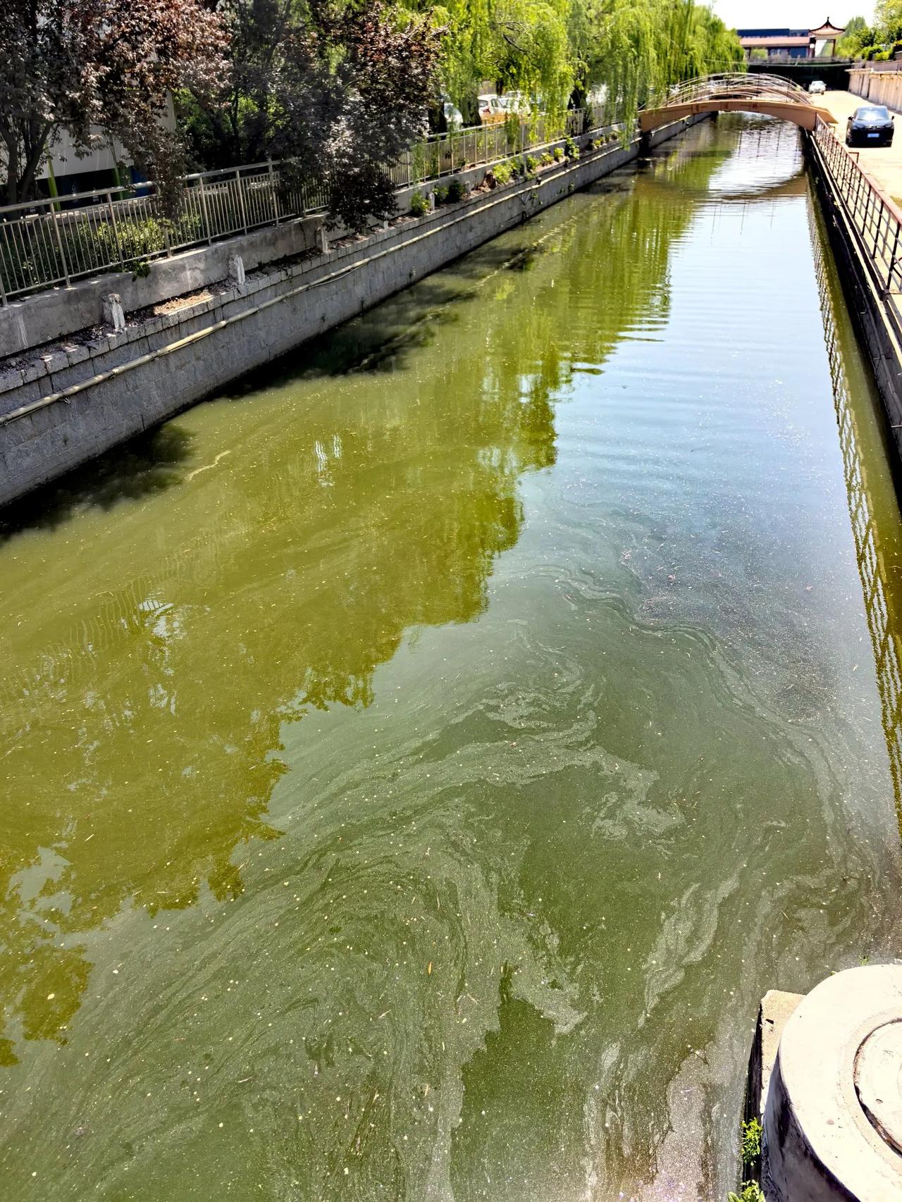 一湾碧水变
