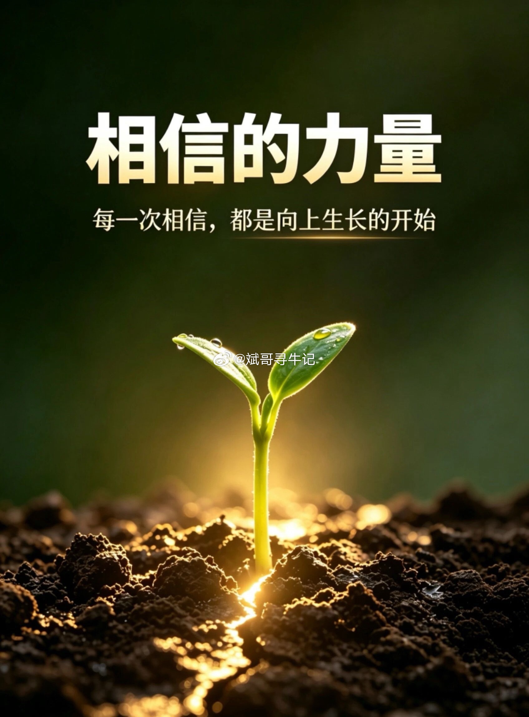 明天探底回升收中小阳线，站稳5日线，这是本周向上突围第一步，本周震荡上行，站稳五