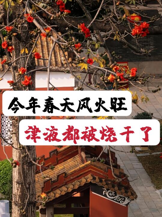 乙巳年远离春燥与春困，内调是关键