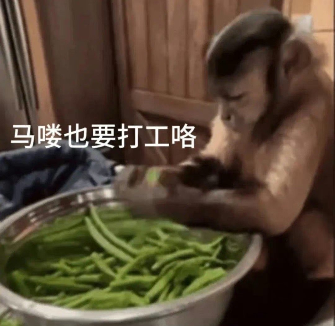 #打工真的会影响我生活#当然会，已经从人变成马喽了[困]+猴子马喽打工表情包，拿