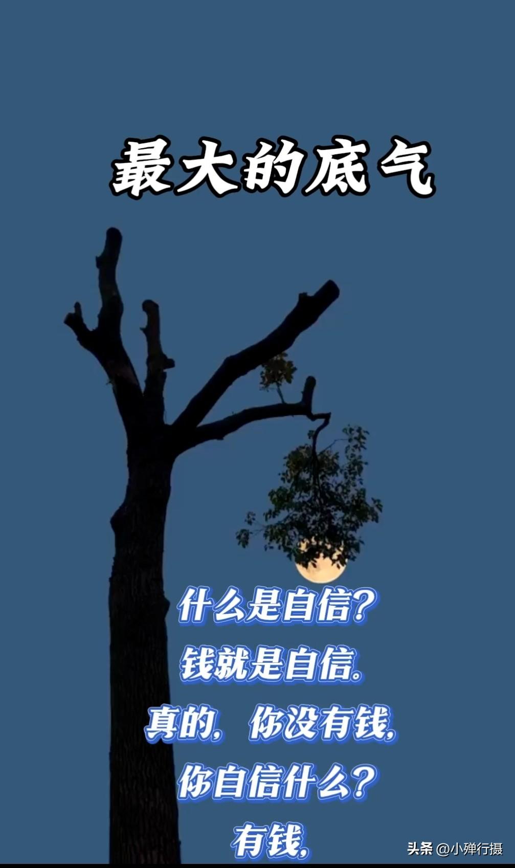 说白了，有钱就是你的底气，其他一切都是虑的，手中有钱，心里不慌，有钱能使鬼推磨。