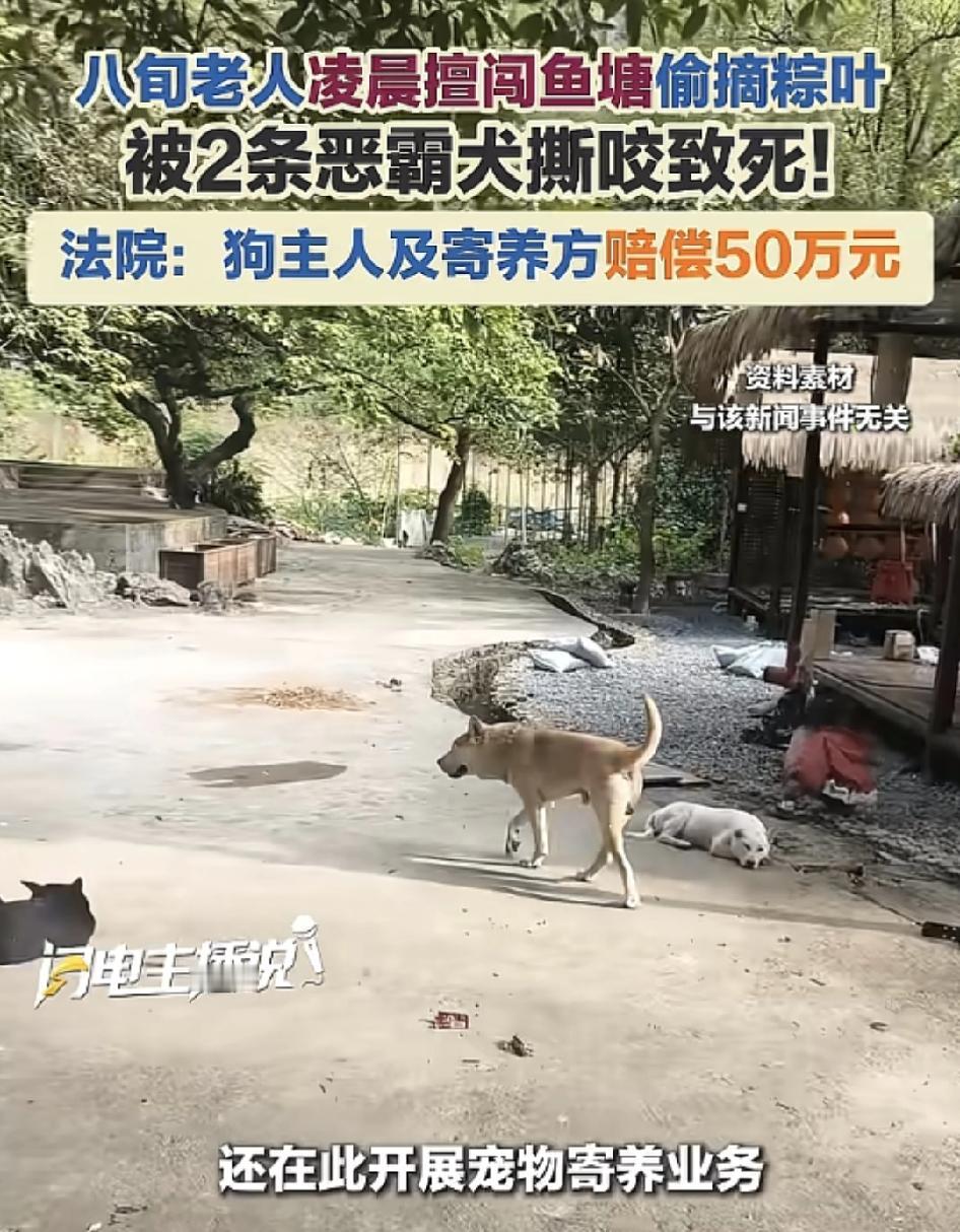 八旬老人深夜擅闯鱼塘偷摘粽叶，被两条恶霸犬咬死，家属起诉鱼塘和狗主人赔偿，狗主人