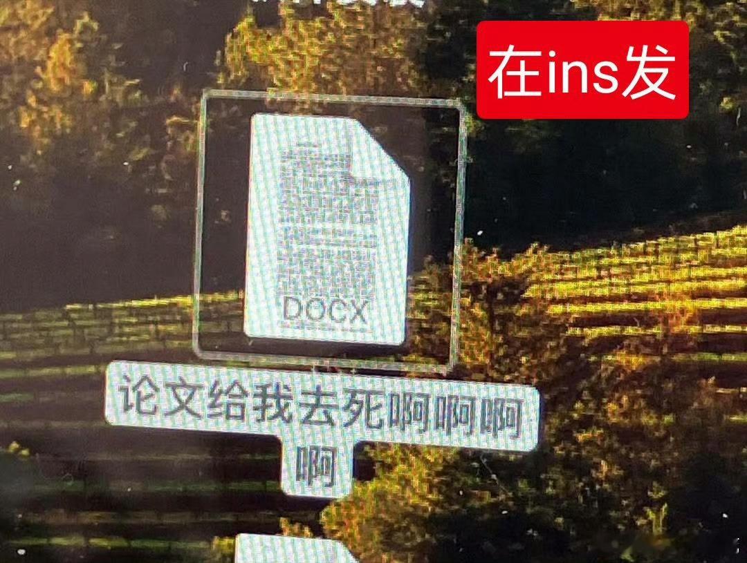文淇 论文给我去死 原来你是这样的文淇！！在微博岁月静好在ins：论文给我去死啊