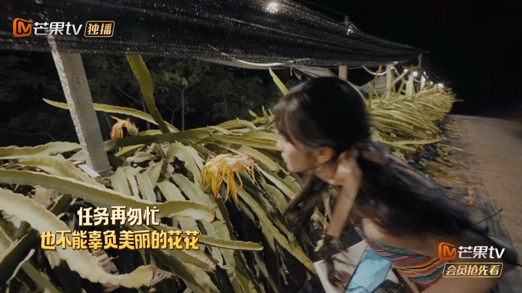 善于发现生活中的美好 