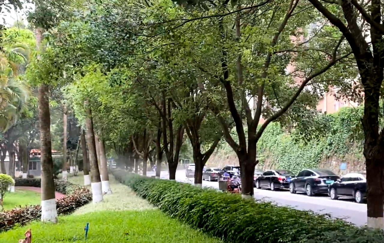 广州全城灭蚊开始了

早上八点，工人戴着口罩在公园外围，喷头对准公园喷洒药水，瞬