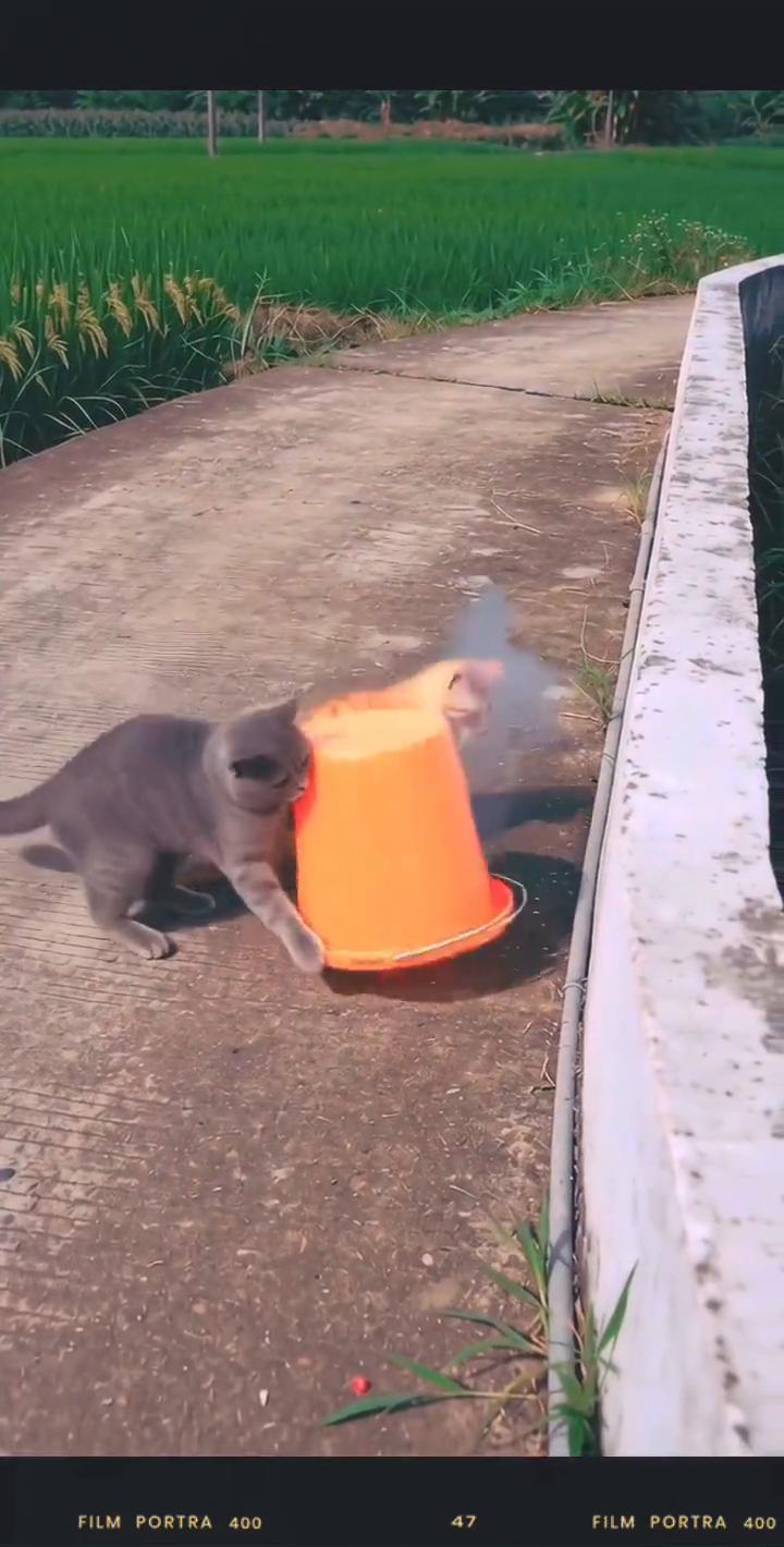 哈哈哈。