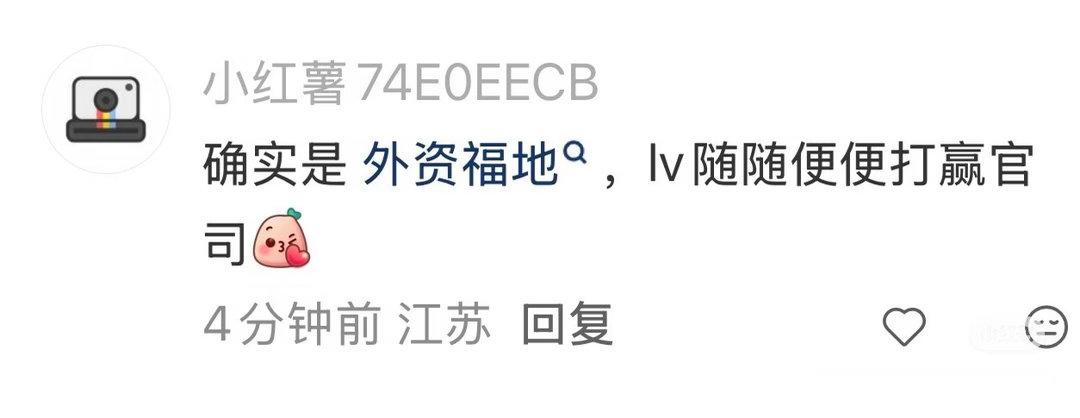 上海徽京法院，LV一样告赢了好几个抄袭官司，但是因为牌子不大或者说没钱营销，没什