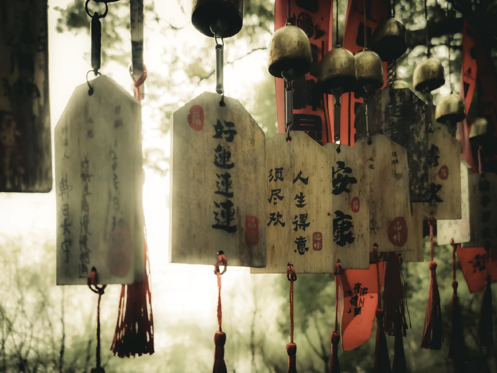 潺潺流水终于穿过了群山一座座 杨紫