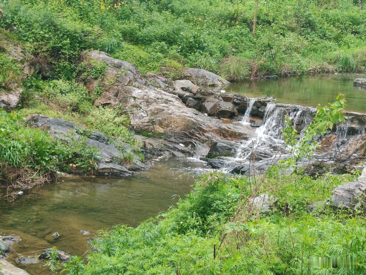 静谧山间小溪，潺潺流水声，自然之美尽收眼底。