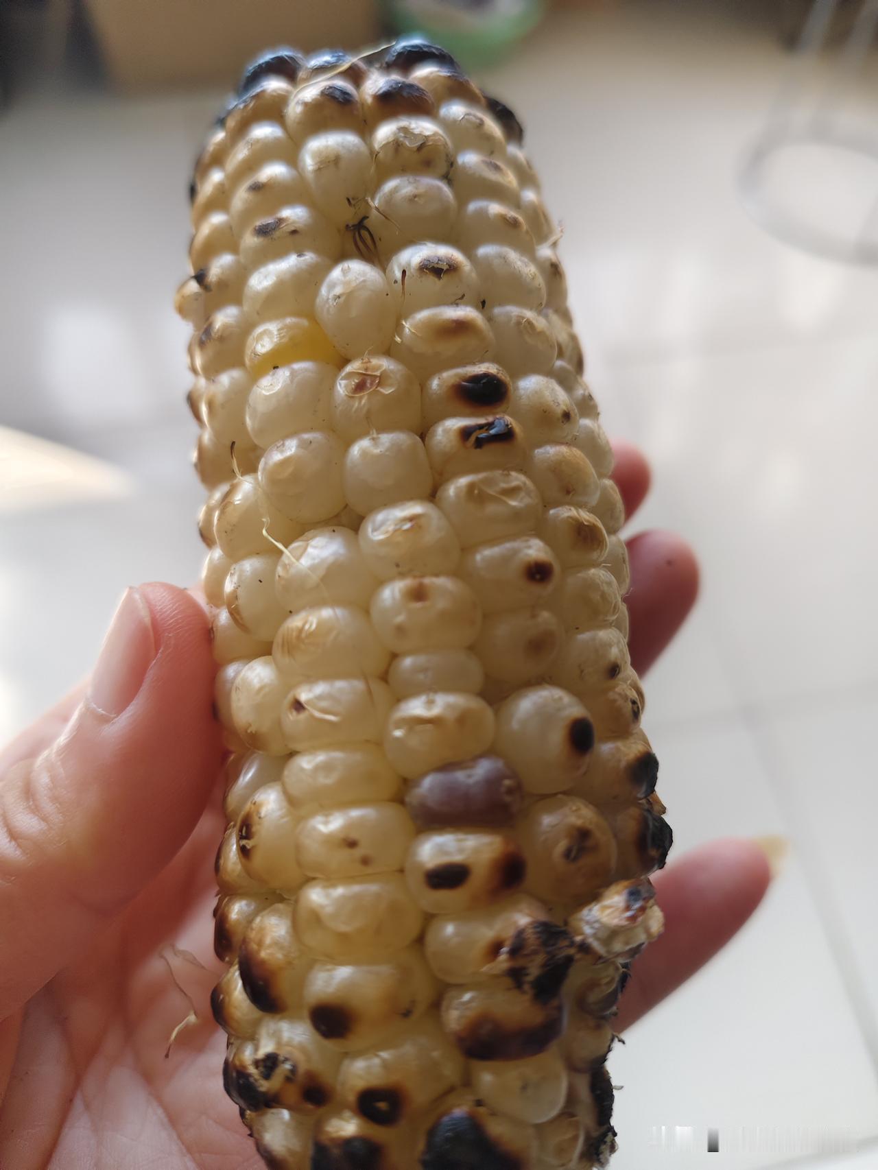 深秋的烤嫩玉米🌽，那口香甜简直让上幸福的转圈圈儿，
       四十多年前，