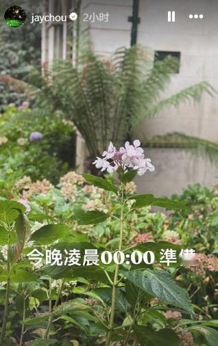 【周杰伦发文今晚0点准备】准备什么？是我们想的新歌新专辑吗？期待期待！！周杰伦今