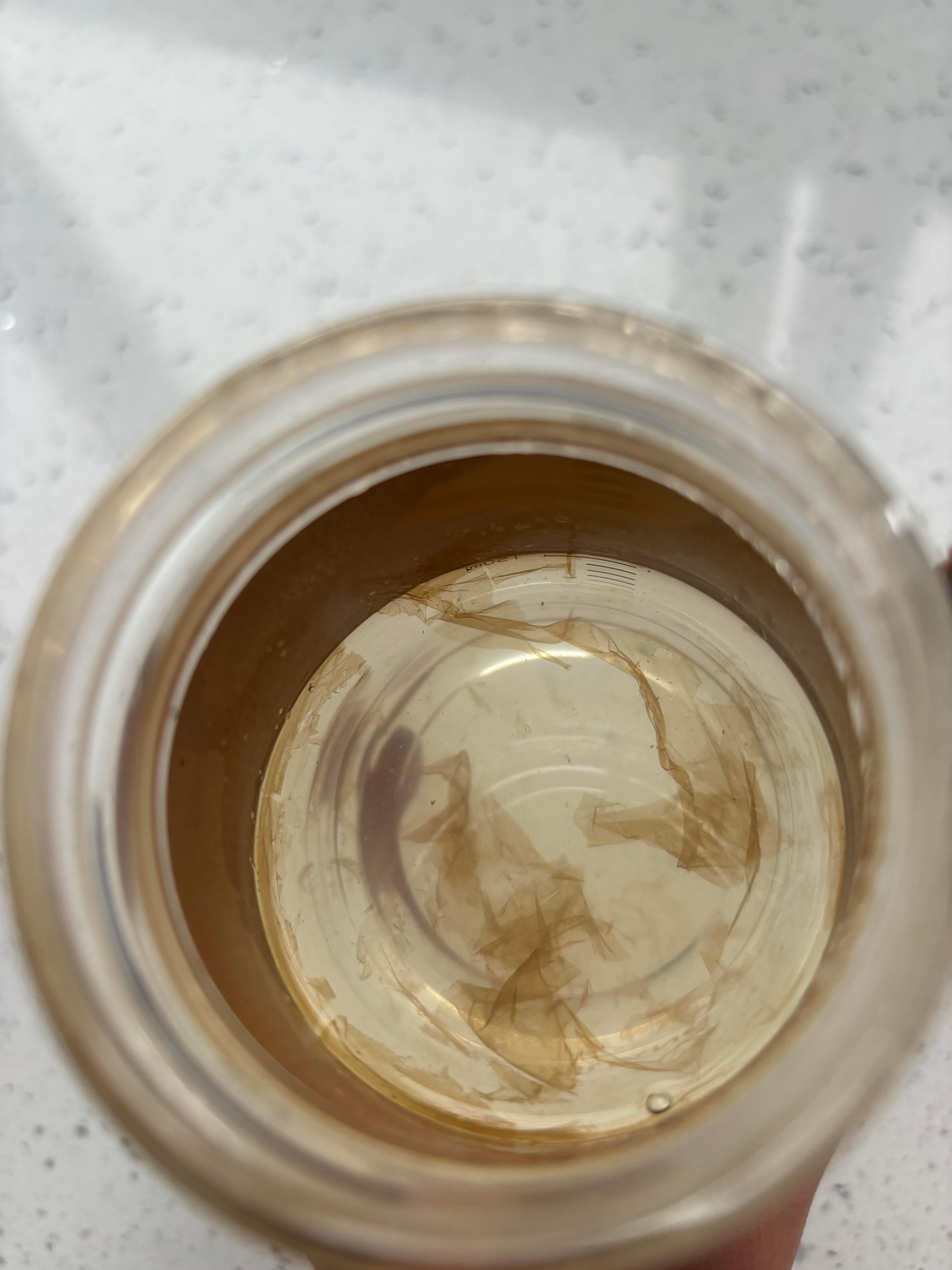 独居小妙招：柠檬的神奇清洁力 独居租房的小伙伴，你们有没有为饮水问题烦恼过？我发