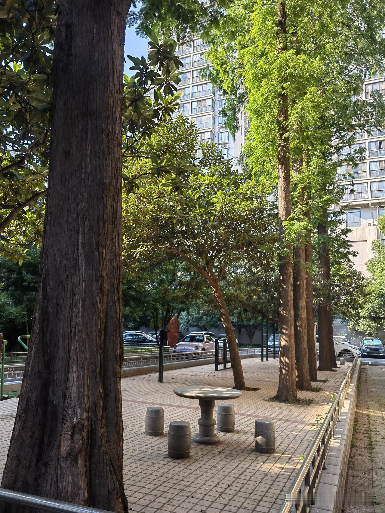 老旧小区三楼有必要安装电梯吗？最近小区院子里闹起来了，原因是要安装电梯。小区属于