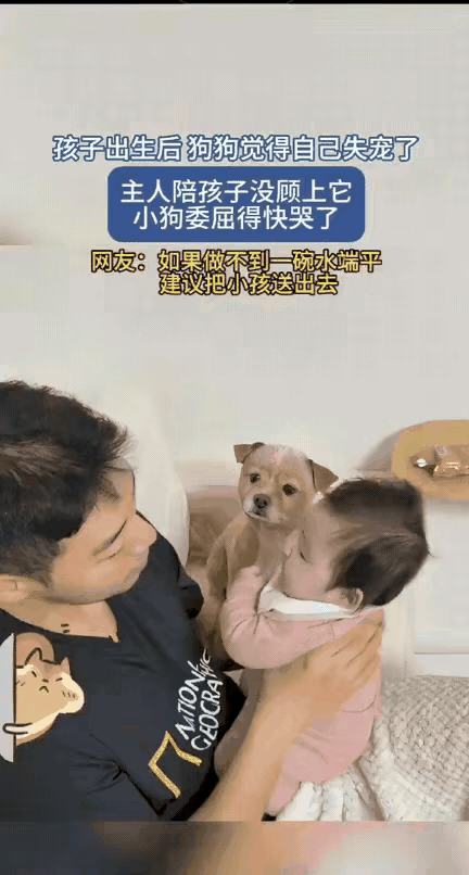 狗狗也是有丰富情感的，看得人心里软软的，忍不住想抱抱它~

这小模样一看就是心里