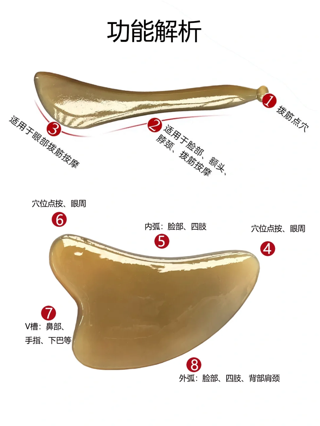 面部刮痧工具每个部位对应位置解析说明