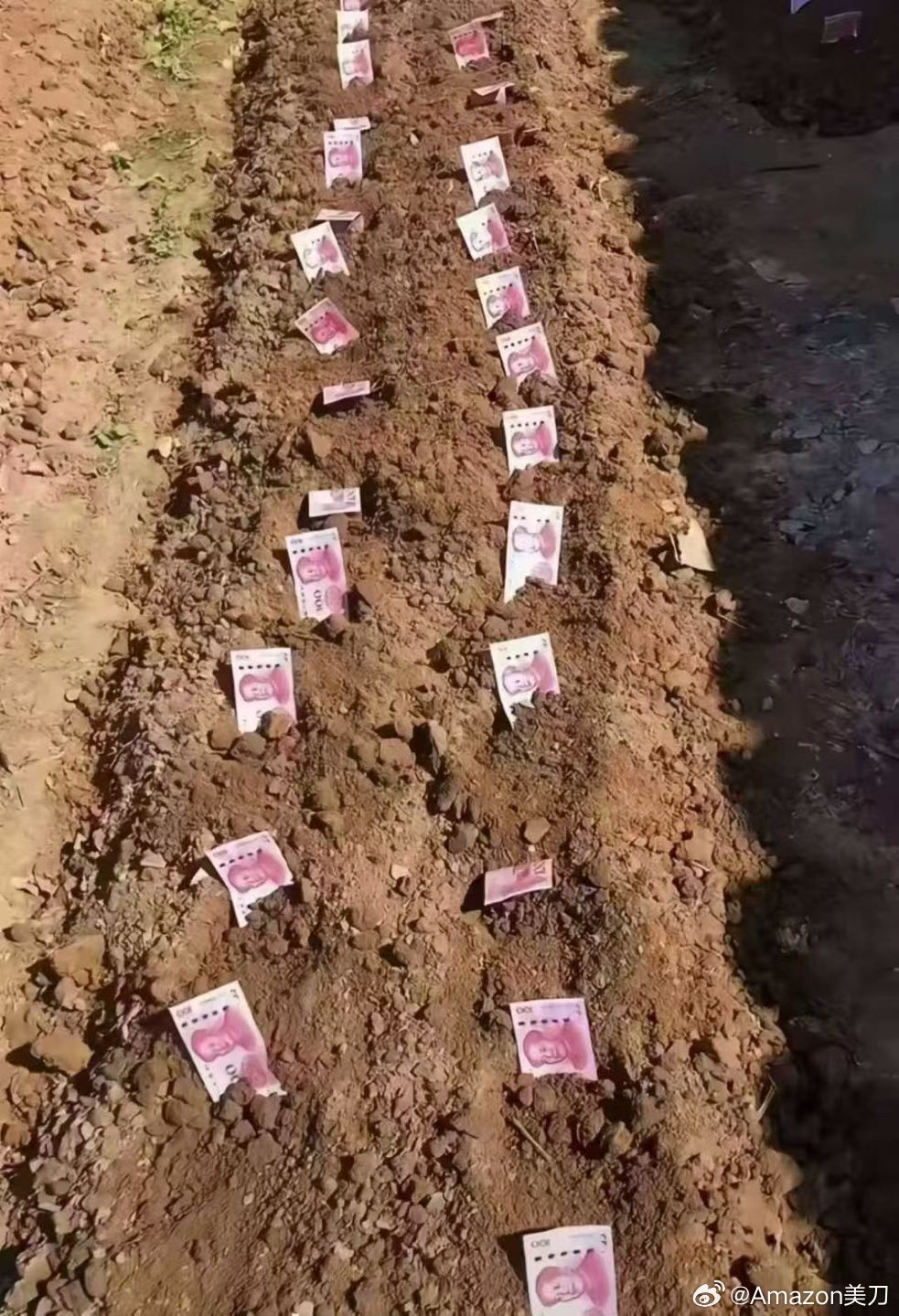 三月是个种植的季节祝大家顺顺顺！ 