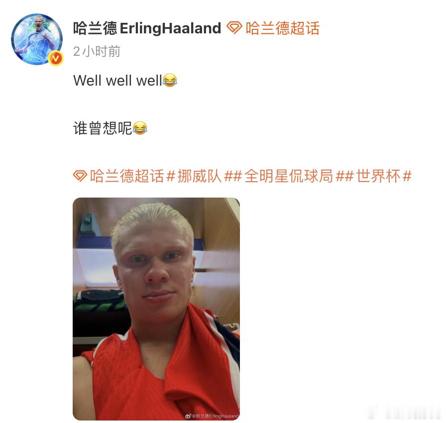 高下立判