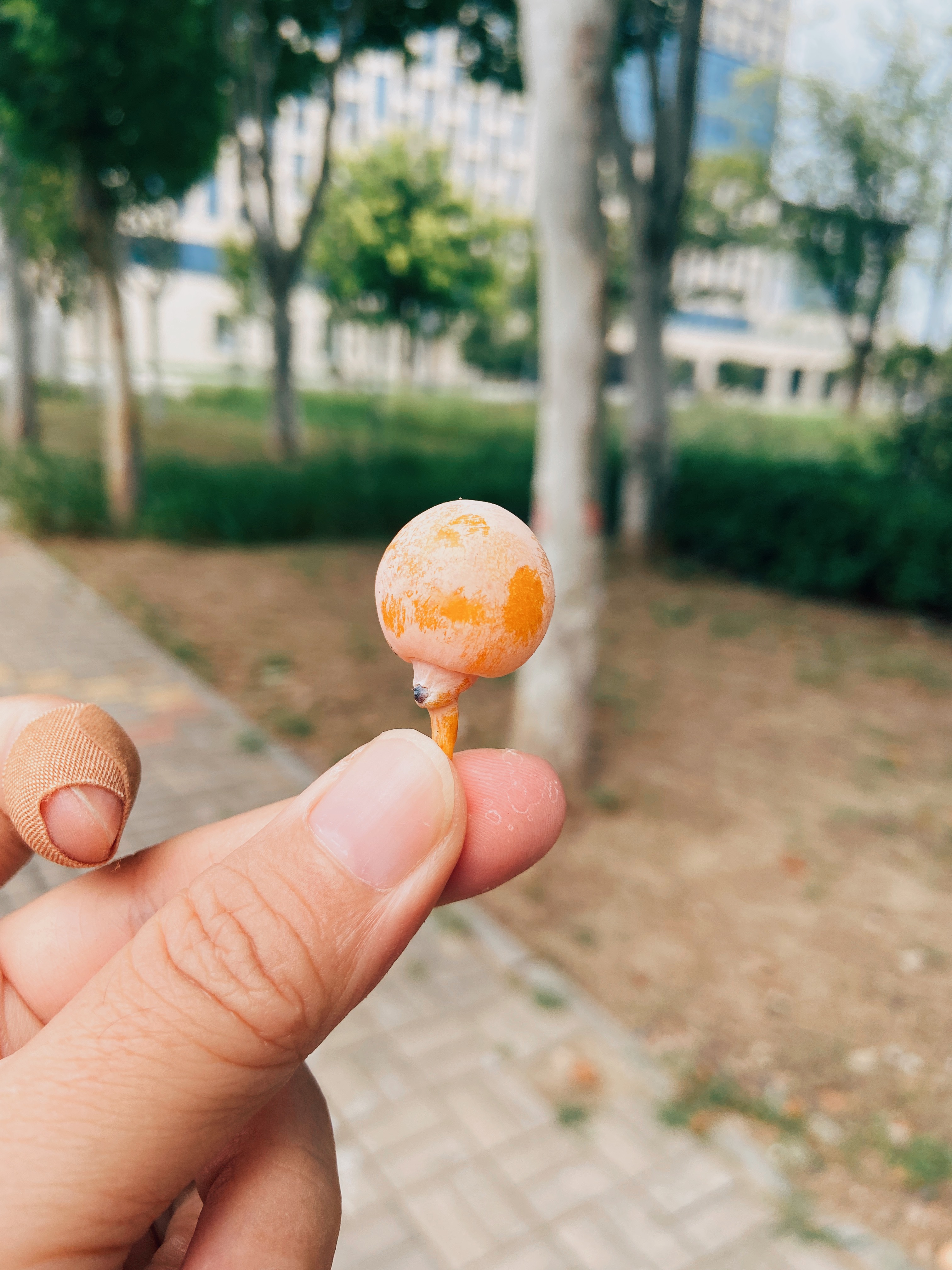 听说11最近有哭，关心一下。一连上线，看她躺着，就开玩笑：哟，这忧郁的脸，躲避的