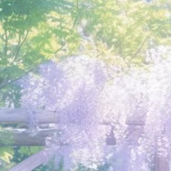 种种紫罗兰紫罗兰生长的最佳温度在16-24摄氏度之间。夏季气温高，如超过27摄氏