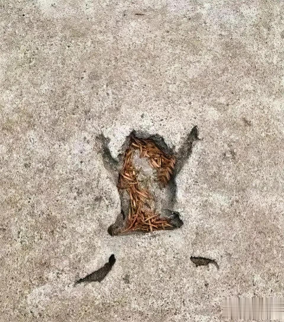 这世界破破烂烂，
谁在缝缝补补？