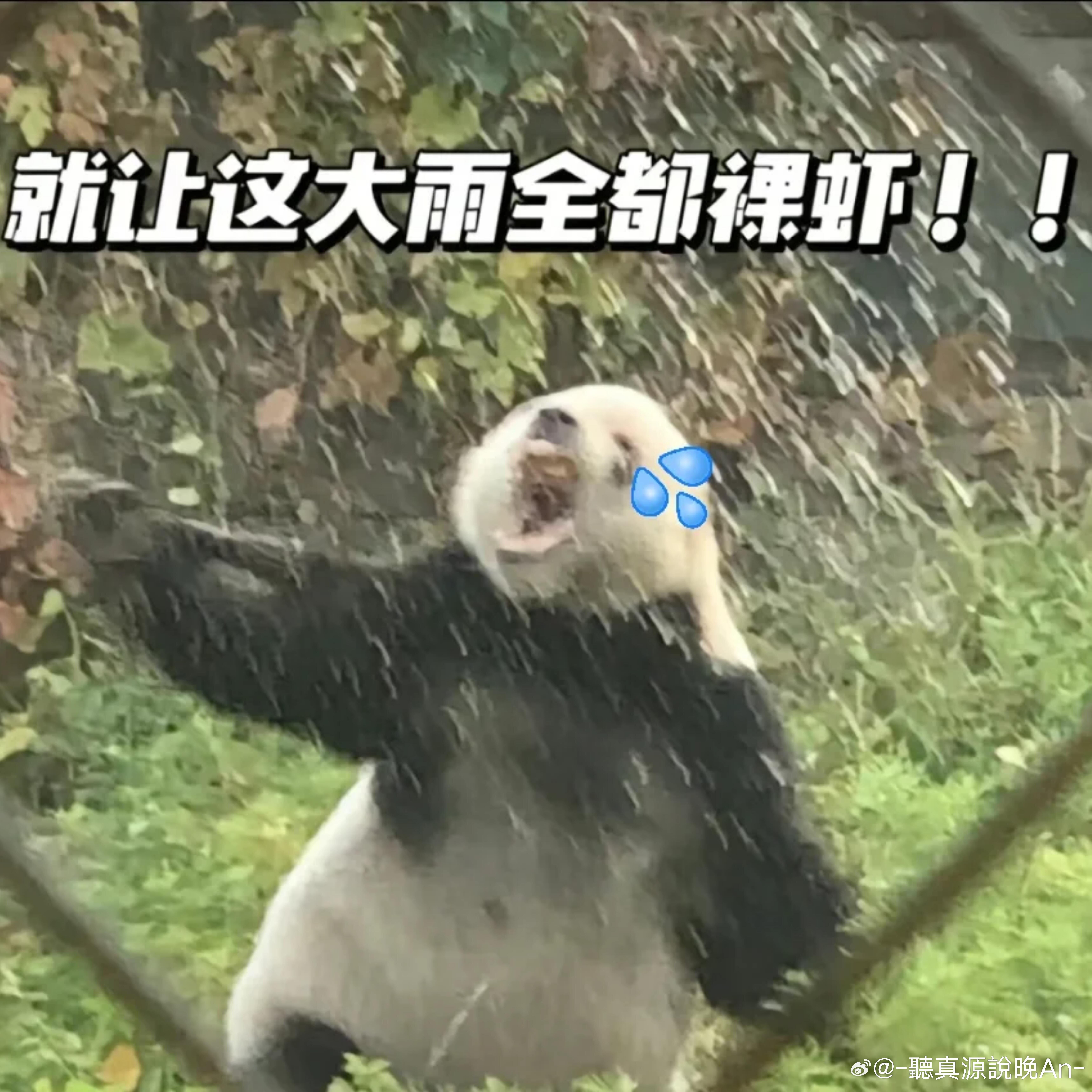 对深圳的天气就是一整个be like问深圳晴为何物