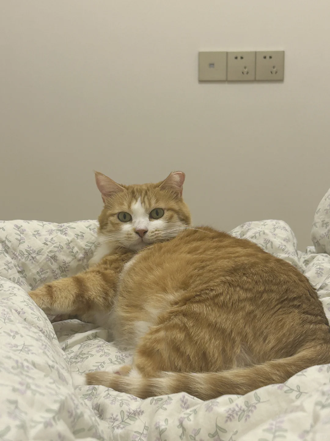 压在被子上超重