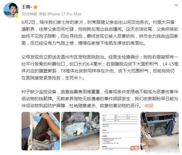 王锵家狗狗被恶意砍伤王锵家狗狗被恶意砍伤紧急抢救 啊太坏了！