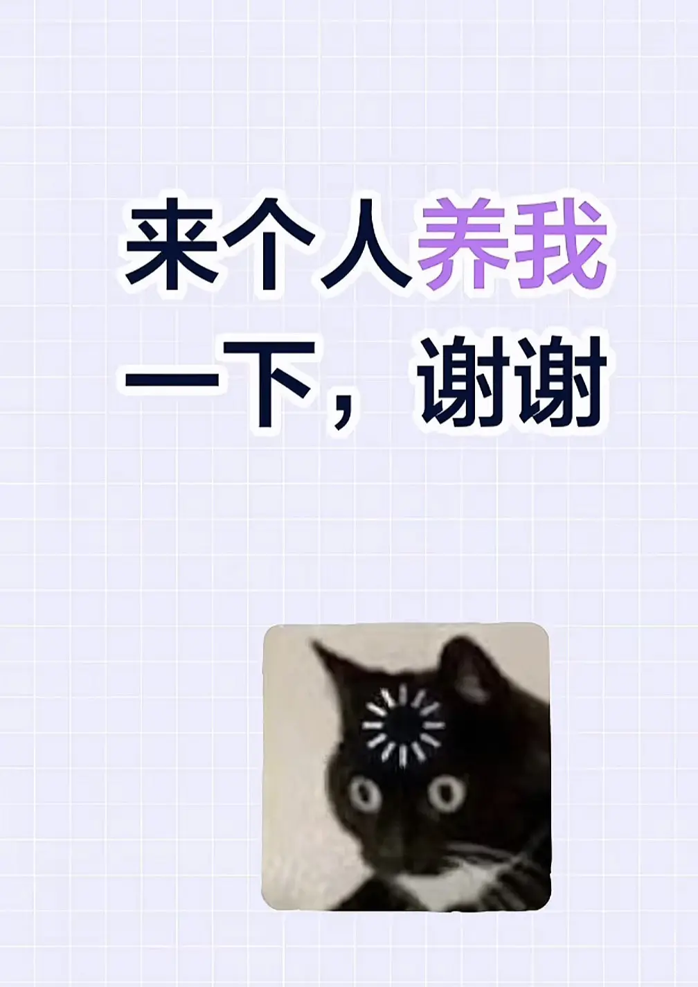 甘大美人 有没有养我的 我已经养不起我自己了